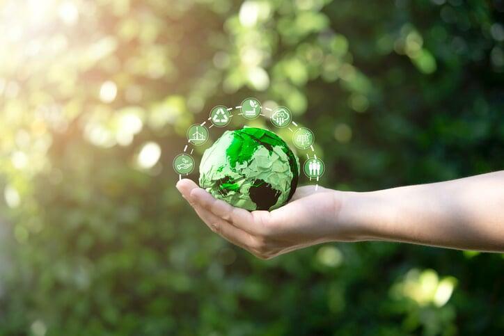Sustainability Accounting: How to Track and Report Environmental Impact