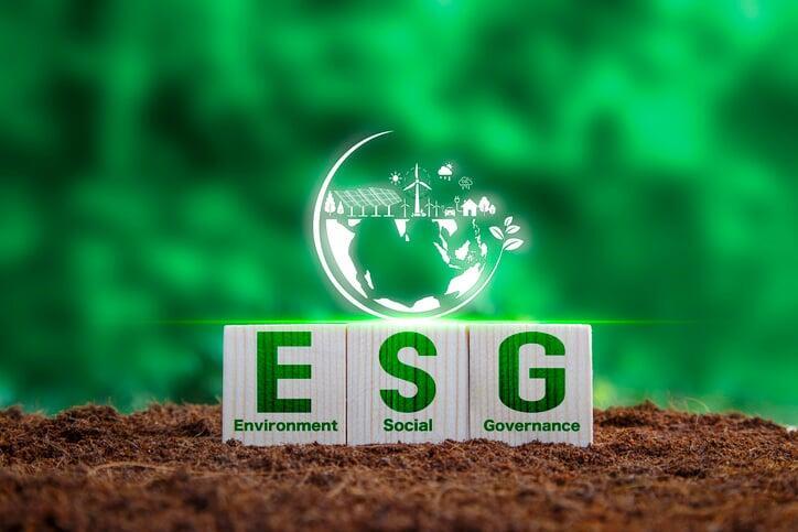 The Impact of ESG (Environmental, Social, and Governance) Criteria on Corporate Tax Strategies 