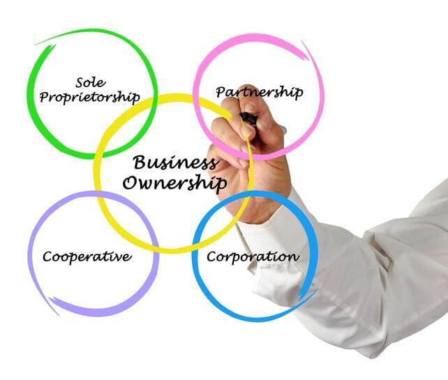 Why Choosing the Right Entity Structure Is Vital for Your Business